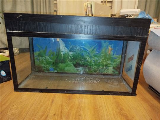 AKVARIJUM OD 100 LITARA SA HAUBOM