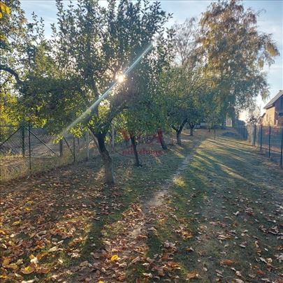 Bačko Gradište, Biserno ostrvo, Lepa vikendica okr