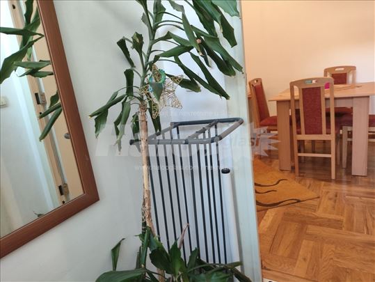 Dvosoban u Zemunu, Meandri