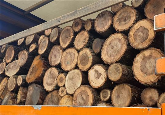 Hrastova drva na prodaju