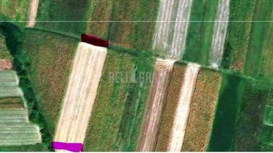 Pećinci, Deč, Palih Boraca