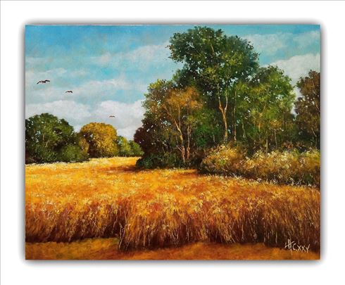 ulje na platnu 50x40cm