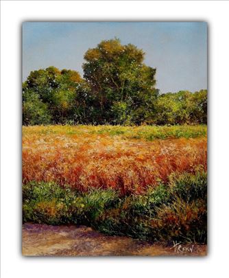 ulje na platnu 50x40cm