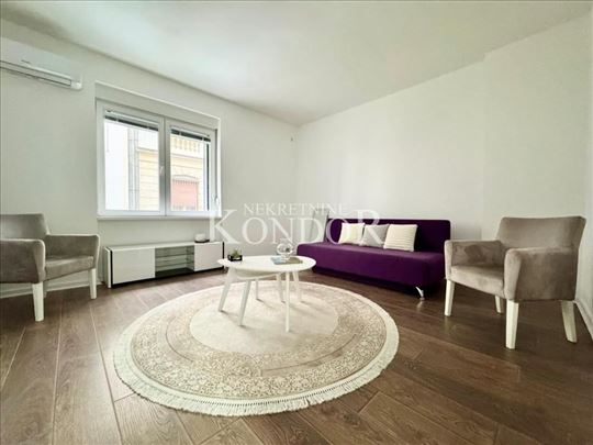 Šantićeva,odličan renoviran 1,5 salonac ID#1172