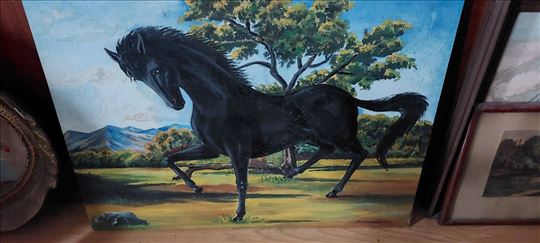 Slika ulje na platnu 1983god Vranac Golubović M.