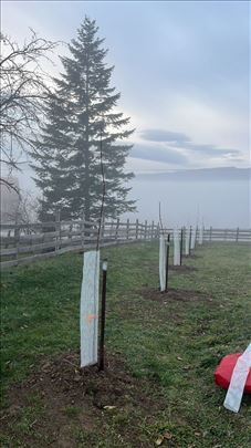 Bušenje rupa za voće