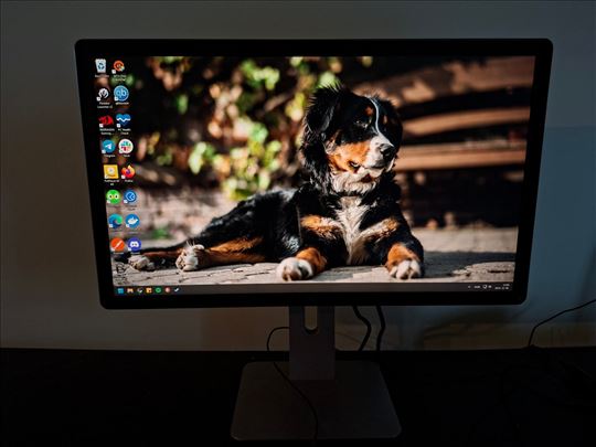 Dell P2414HB FullHD 1920×1080