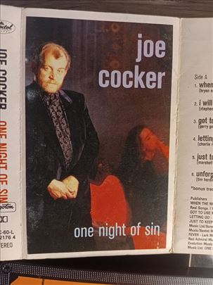 Joe Cocker - One Night Of Sin