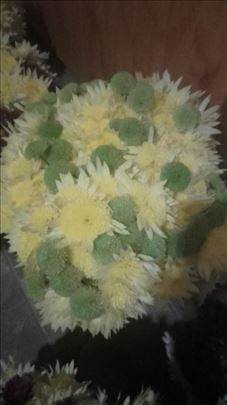 Hrizanteme domace cvece buketi