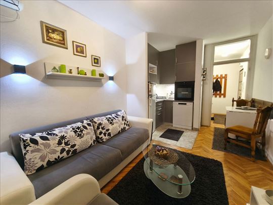 Lep 1.5 stan, 35m2, Braće Ribnikar 