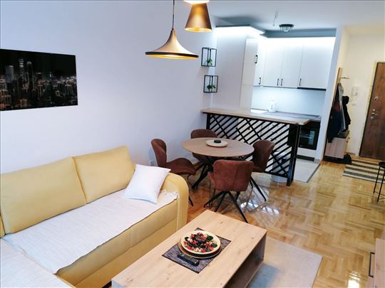 Paunov Breg, dvosoban, Namešten