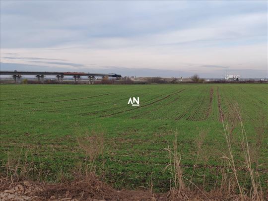 Surčin, Dobanovci, placevi za investiciju ID#28676