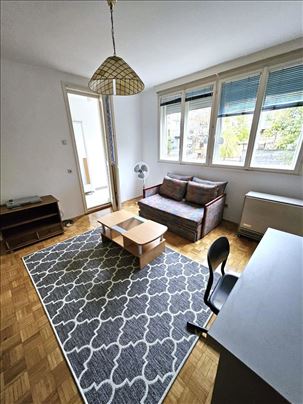 Višnjička, 35m2, 1.0, I/2, namešten ID#1926