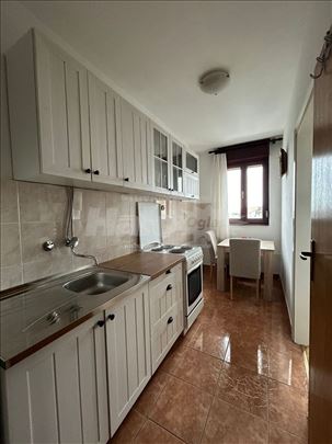 Čukarica, Žarkovo, Ratka Mitrovića