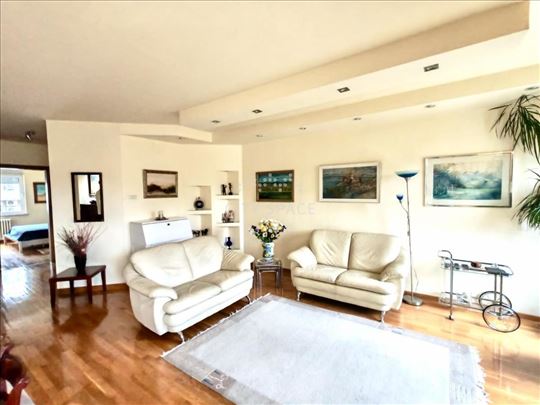 Izuzetan 3.0 Stan u Jove Ilića