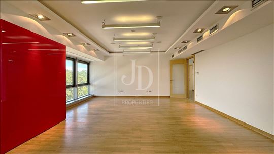 Izdavanje poslovnog prostora,Novi Beograd,300 -380