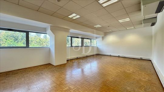 Izdaje se poslovni prostor Novi Beograd,300-3800 m