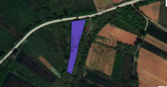 Lep plac blizu naselja Barje Čifluk Kod Pirota, 18