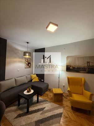 Pet-friendly, Dorćol, Strahinjića Bana, 20 m2