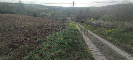 Plac, Brestovik, Veliko Ruište