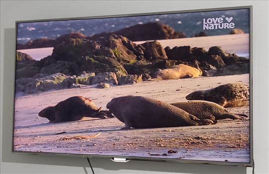 Samsung Tv & Xiaomi tv stick 4k