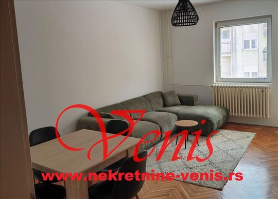 Bulevar Ćirpanova 68 m2 - pet friendly