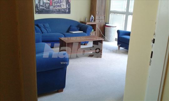 Ljutice Bogdana, Dedinje, vlasnik