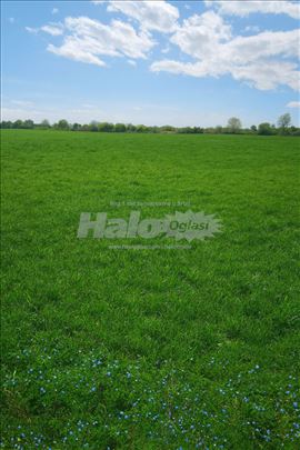 Plac 22.9 ari – Ugrinovci