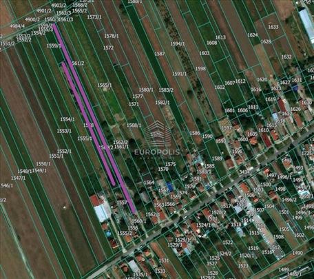 Plac od 82 ara u Dobanovcima – građevinsko područj