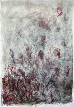 Aleksandra Dada Tomić