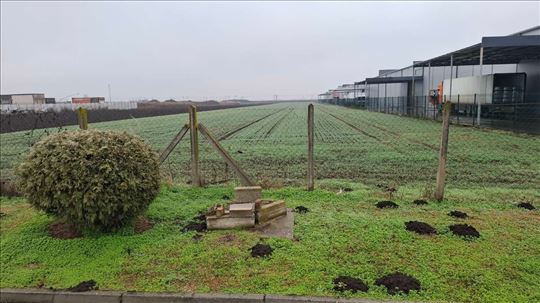 Batajnica 1ha 3 ara industriska zona DUP 