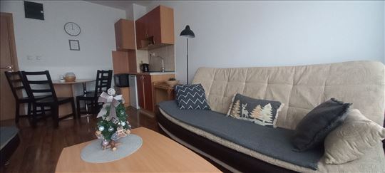 Divčibare, Snežna kraljica, Apartman 13