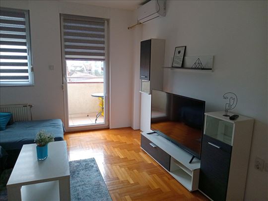 Dvosoban namešten stan V.Karađžć-41m2-480e