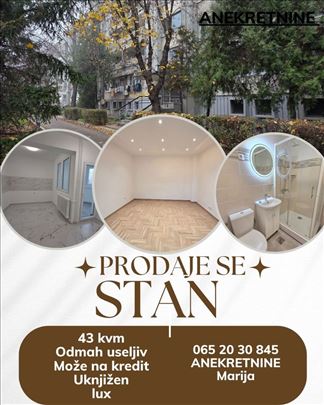 Luksuzno renoviran jednosoban stan u srcu Zemuna