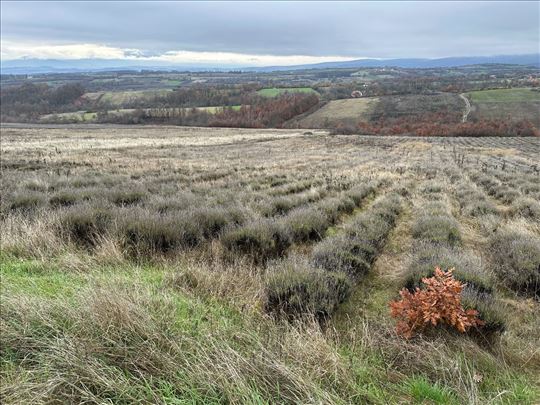 47 hektara zemljišta u komadu u podnožju RTNJA
