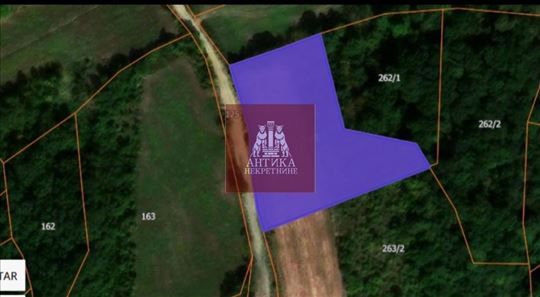 Hitna prodaja-imanje i zemljište pod šumom!