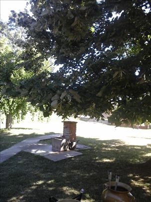 Kuća sa velikim placem 22 ara i halom 300m2