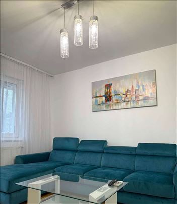 Nov,namesten jednoiposoban stan, Grbavica, parking