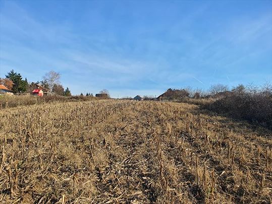 Avala - Ripanj (izuzetna pozicija)