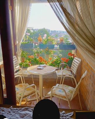 Banjica - 4.0 84 kv Paunova