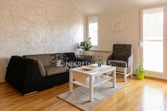 Centar, Lux, namešten,useljiv ID#18711