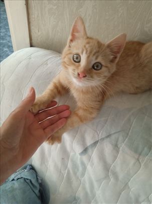 Samo za one sa dobrom dušom i velikim srcem