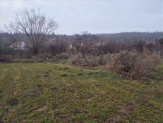 Stara Bingula plac gradjevinsko zemljište 1486 m2 