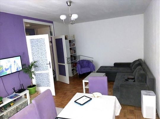 Svetao,  odmah useljiv