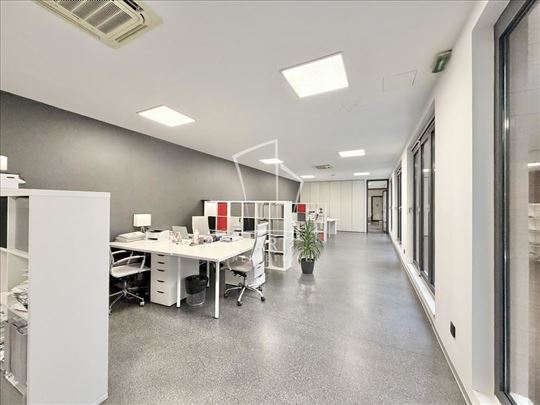 Dorćol, Knićaninova, 298m2 ID#13326