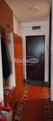 izdajem jednosoban stan