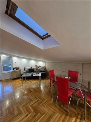 Novija zgrada, pet friendly