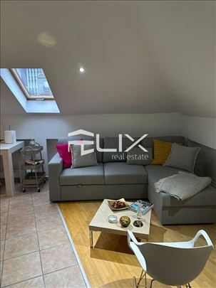 Vračar - pet friendly, cena sa CG