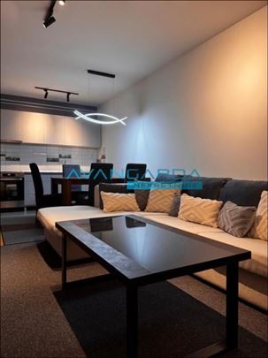 Stepa Stepanović ID#43204