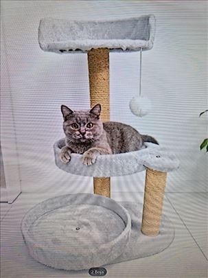 Grebalice za mačke-Akcija-Gratis činija za mace